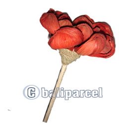 Bunch Dried Flower