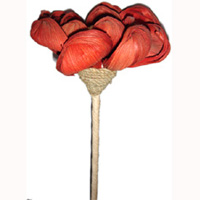 Bunch Dried Flower
