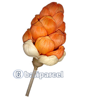 Bunch Dried Flower