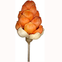 Bunch Dried Flower