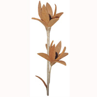 Bunch Dried Flower