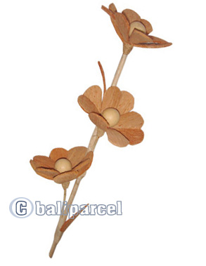 Bunch Dried Flower