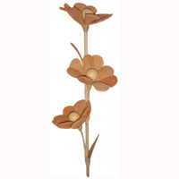 Bunch Dried Flower
