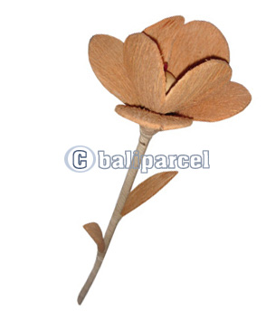 Bunch Dried Flower