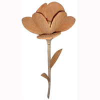 Bunch Dried Flower