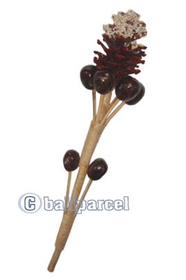 Bunch Dried Flower