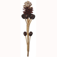 Bunch Dried Flower