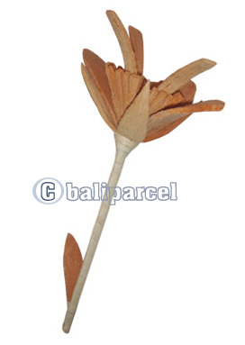 Bunch Dried Flower