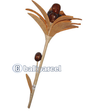 Bunch Dried Flower