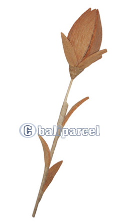Bunch Dried Flower