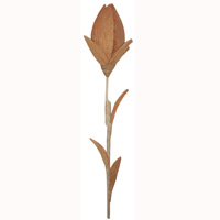 Bunch Dried Flower