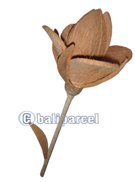 Bunch Dried Flower