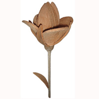 Bunch Dried Flower