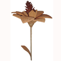 Bunch Dried Flower