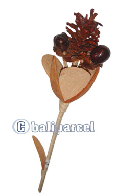 Bunch Dried Flower