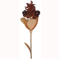 Bunch Dried Flower