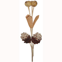 Bunch Dried Flower