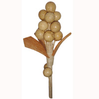 Bunch Dried Flower