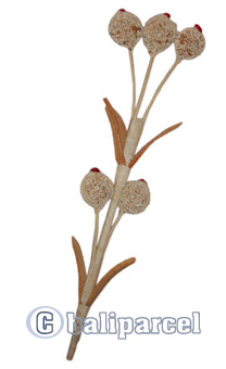 Bunch Dried Flower