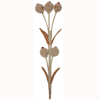 Bunch Dried Flower