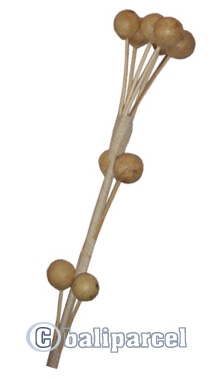 Bunch Dried Flower