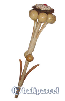 Bunch Dried Flower