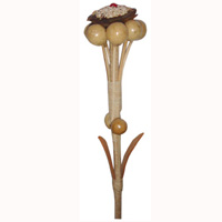 Bunch Dried Flower