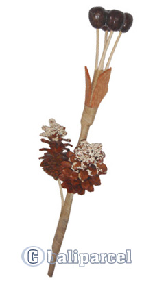 Bunch Dried Flower