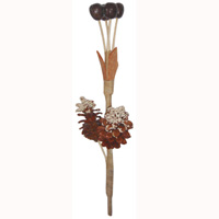 Bunch Dried Flower