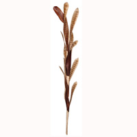 Bunch Dried Flower