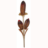 Bunch Dried Flower