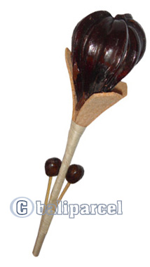 Bunch Dried Flower