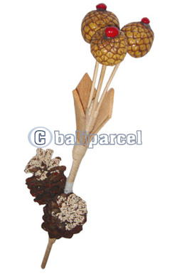 Bunch Dried Flower