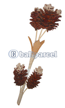 Bunch Dried Flower