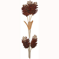 Bunch Dried Flower