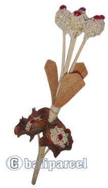 Bunch Dried Flower
