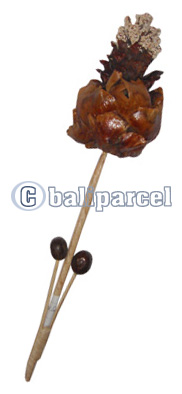 Bunch Dried Flower