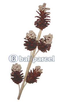 Bunch Dried Flower