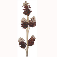 Bunch Dried Flower