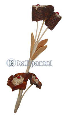 Bunch Dried Flower