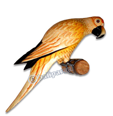 Parrot Bird With Handpainted, Hand Carved From Albesia Wood. 