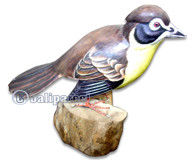 Wooden Bird Painted, Handmade From Albesia Wood
