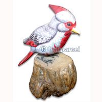 Wooden Bird Painted, Handmade From Albesia Wood