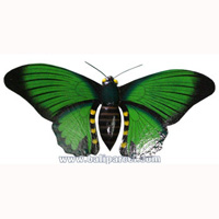 Wallhanging Butterfly With Painted, Handcrafted From Albesia Wood