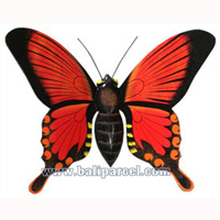 Wallhanging Butterfly With Painted, Handcrafted From Albesia Wood