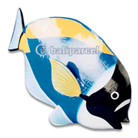 Tropical Fish With Painted, Handcarved From Albesia Wood