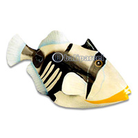 Tropical Fish With Painted, Handcarved From Albesia Wood
