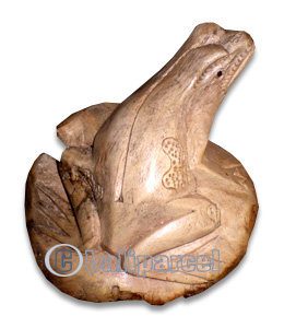 Wooden Frog Parasite Wood