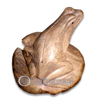 Wooden Frog Parasite Wood