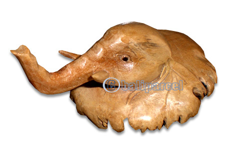 Wooden Elephant Parasite Wood
